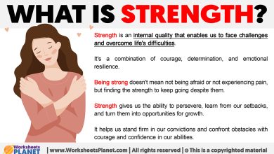 Photo of Strength: The Pillar of Resilience and Success