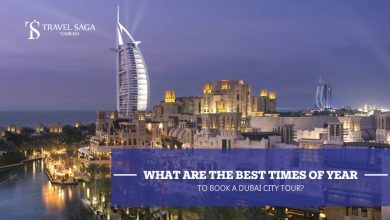 Photo of What Are the Best Times of Year to Book a Dubai City Tour?